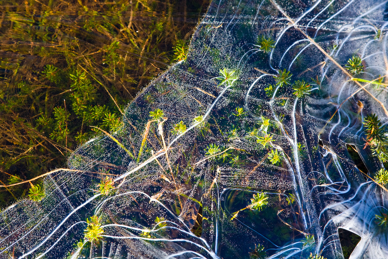 Edge Of Frozen Tarn